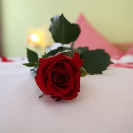 Pfandlhof Guest house 3*