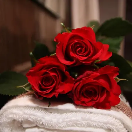 Pfandlhof בית הארחה וואלכסי