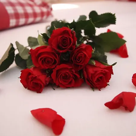 Pfandlhof בית הארחה