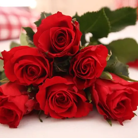 Pfandlhof בית הארחה 3*