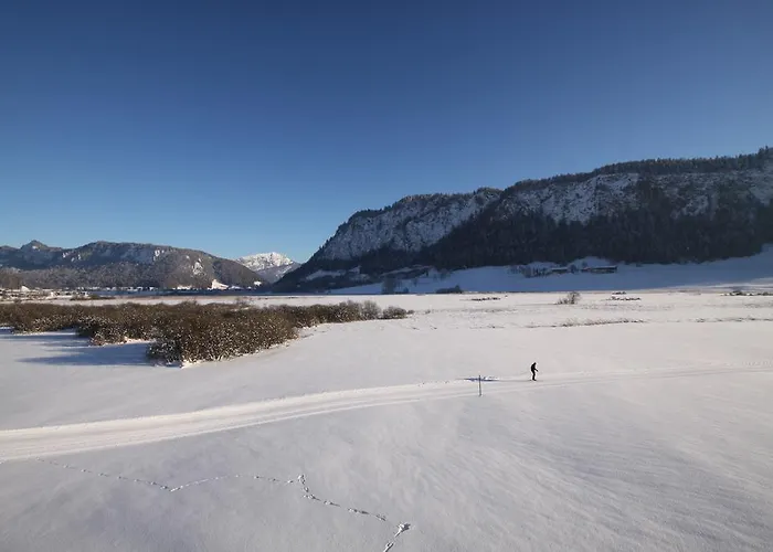 Pfandlhof بيت ضيافة 3*