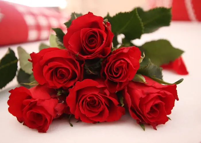 Pfandlhof بيت ضيافة 3*